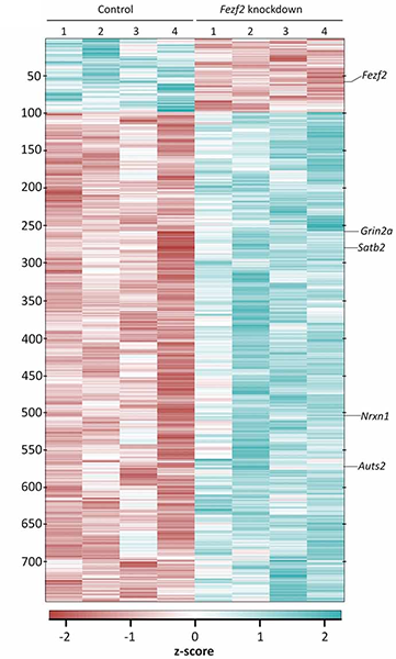 Heatmap