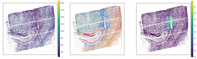 Spatial transcriptomics slices