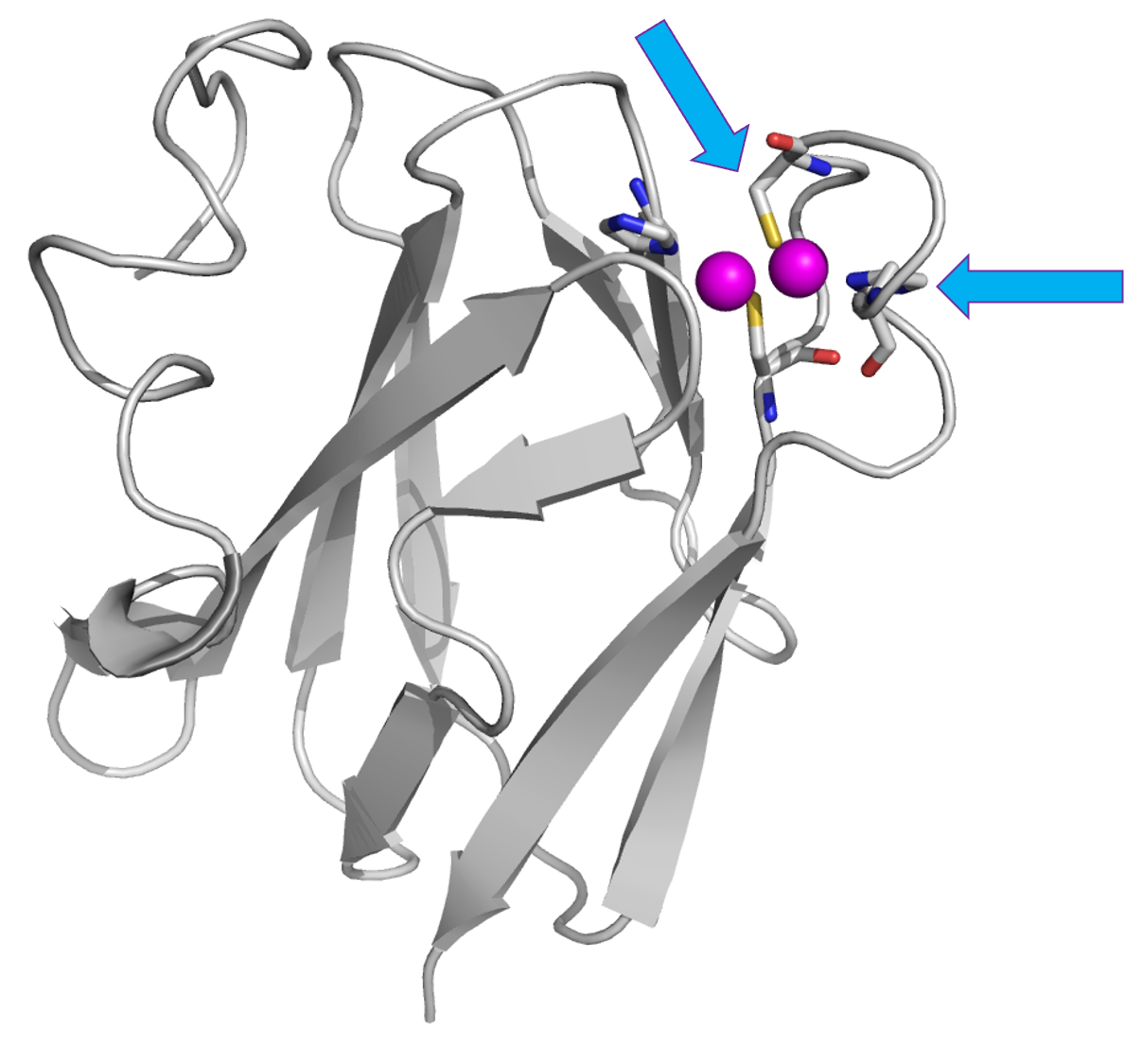 pdb